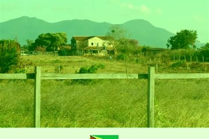 Lily, 21 — Escort in Lethem, Guyana