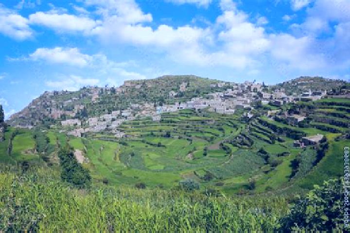 Lily, 21 — Escort in Maqbanah, Yemen
