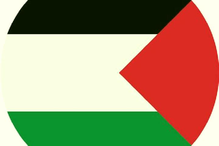 Lily, 21 — Escort in Talfit, Palestine