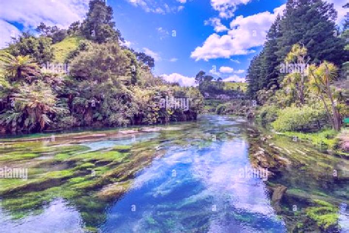 Lily, 22 — Escort in Kihikihi, New Zealand