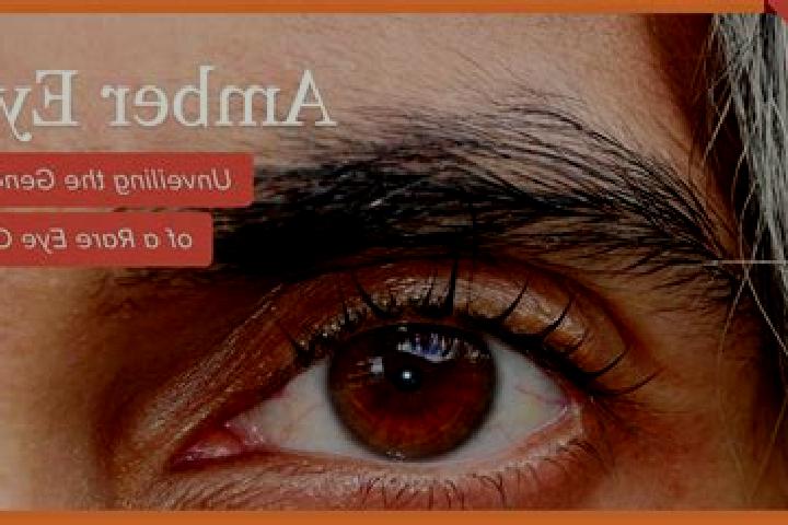 Lily, 24, a red amber-eyed latina companion based in Kuala Rompin. Offering GFE, Fetish, A-Level, OWO. Available for incall and outcall, overnight bookings a...
