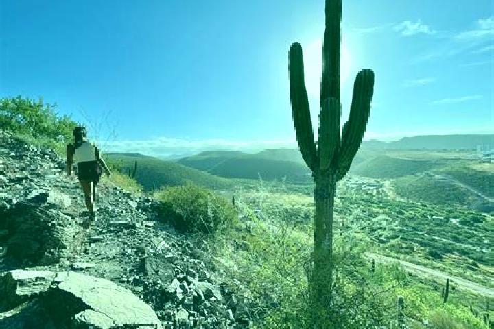 Lily, 24 — Escort in Cerro de la Cruz, Mexico