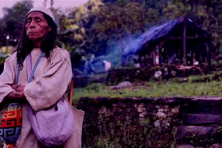 Lily, 24 — Escort in La Sierra, Colombia