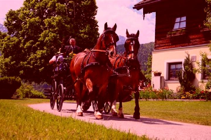 Lily, 24 — Escort in Lammertal, Austria