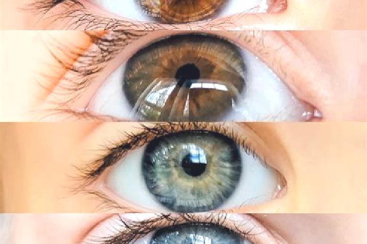 Lily, 25, a chestnut dark-eyed mixed companion based in Montemezzo. Offering Striptease, Girlfriend Experience, Prostate Massage, Roleplay. Available for inc...