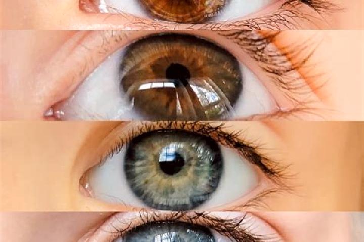 Lily, 25, a chestnut dark-eyed mixed companion based in Shanghai. Offering Erotic Massage, Domination, Girlfriend Experience. Available for incall and outcal...