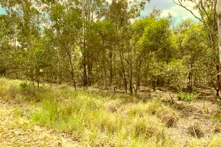 Lily, 25 — Escort in Wattle Camp, Australia