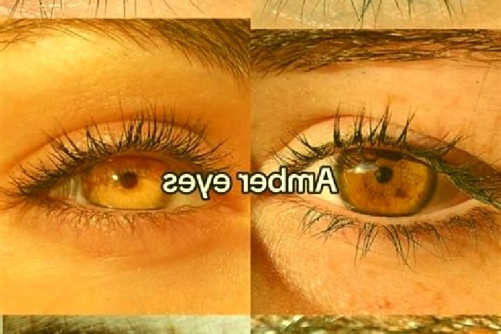Lily, 26, a brunette amber-eyed slavic companion based in Katras. Offering 69, Tantra, Overnight, Fetish. Available for incall and outcall, overnight booking...
