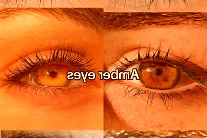 Lily, 26, a chestnut amber-eyed slavic companion based in The Hamptons. Offering OWO, Deep French Kissing, A-Level. Available for incall and outcall, day and...