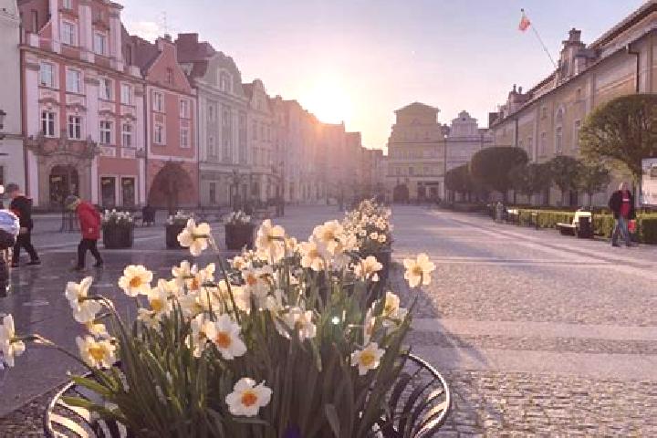 Lily, 26 — Escort in Boleslawiec, Poland