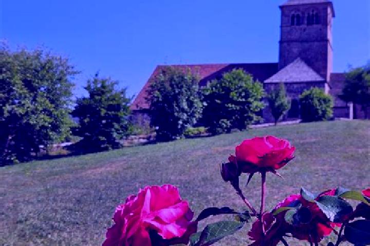Lily, 26 — Escort in Champ-le-Duc, France