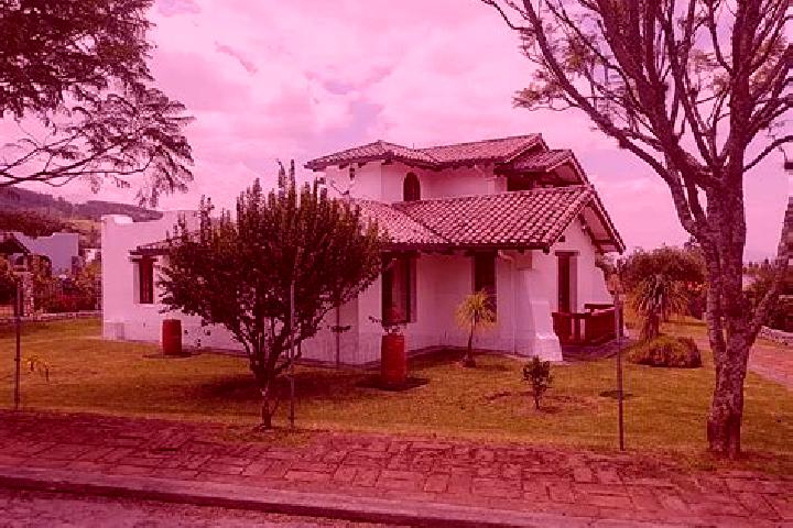 Lily, 26 — Escort in Cotacachi, Ecuador