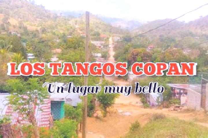 Lily, 26 — Escort in Los Tangos, Honduras