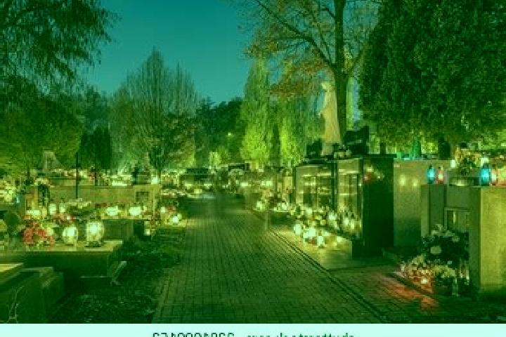 Lily, 26 — Escort in Tarnow, Poland