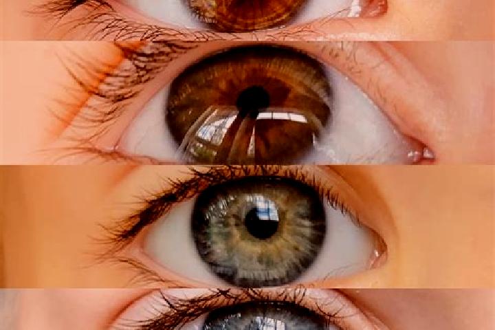 Lily, 27, a chestnut grey-eyed mixed companion based in Stumm. Offering Domination, Fetish, CIM. Available for incall and outcall, overnight bookings available.