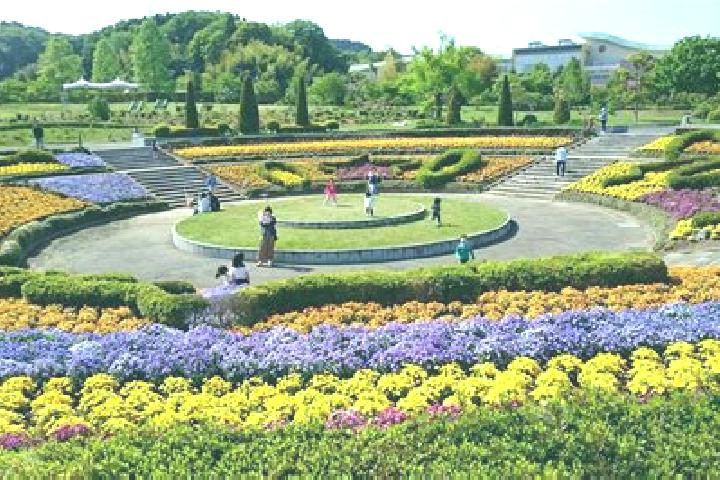 Lily, 27 — Escort in Iwanuma, Japan