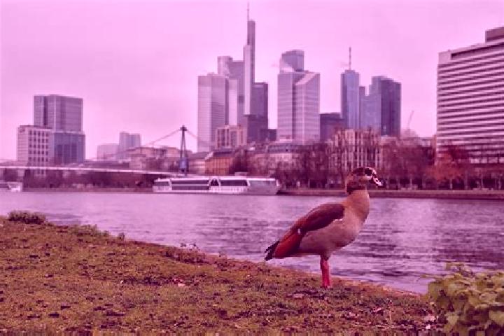 Lily, 28 — Escort in Frankfurt am Main, Germany