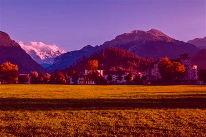 Lily, 28 — Escort in Hoerschhausen, Germany