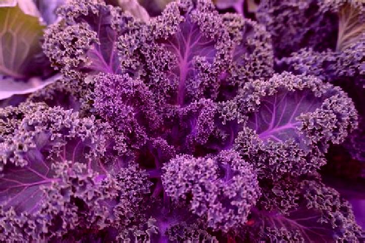 Lily, 30 — Escort in Kale, Turkey