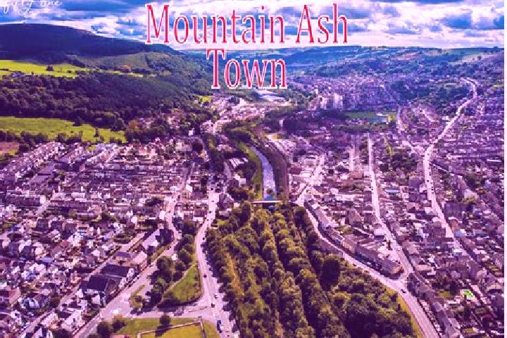 Lily, 30 — Escort in Mountain Ash, United Kingdom