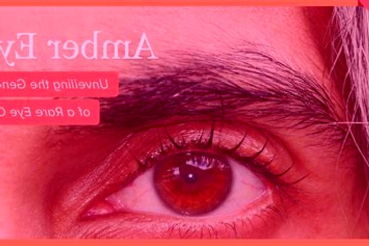 Lily, 31, a red amber-eyed middle eastern companion based in Atlamaxatl. Offering Overnight, Prostate Massage. Available for incall and outcall, overnight bo...