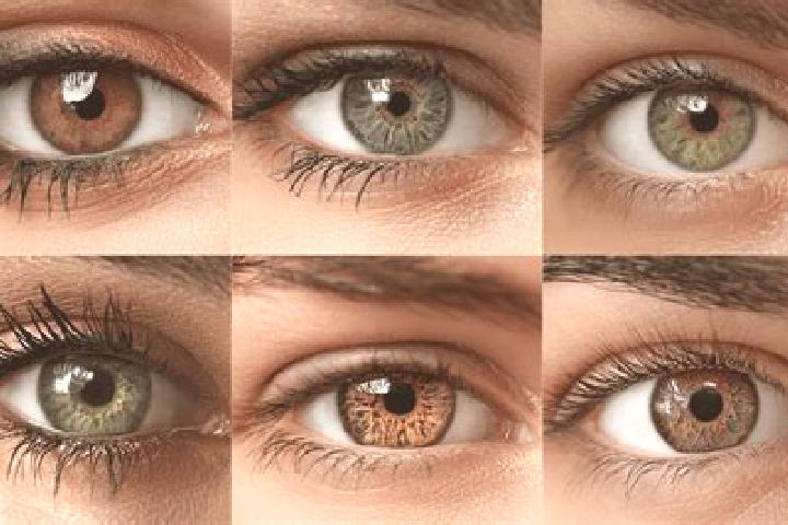 Lily, 31, a red hazel-eyed latina companion based in Lajkovac. Offering GFE, Travel Companion, Fetish. Available for incall and outcall, overnight bookings a...