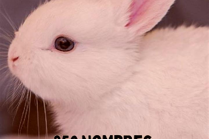 Lily, 31 — Escort in Conejos, Mexico