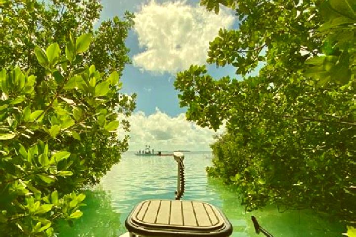 Lily, 31 — Escort in Cudjoe Key, United States