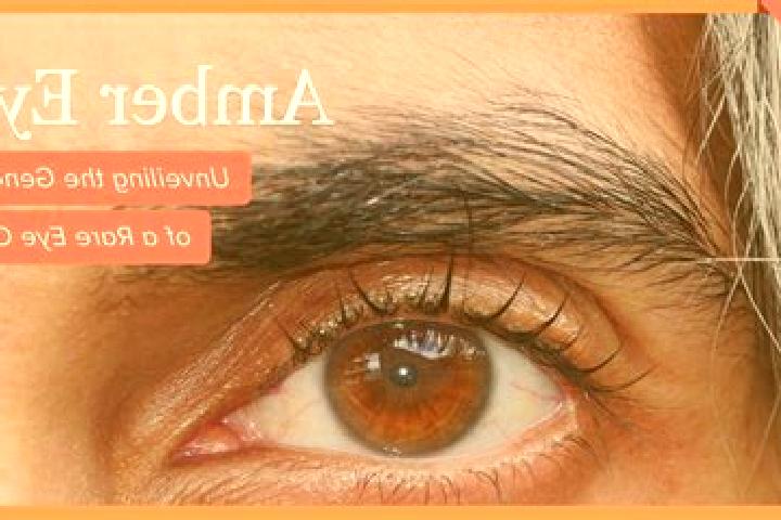 Lily, 32, a black amber-eyed indian companion based in Sapang Buho. Offering GFE, Tantra, Striptease, Overnight, Couples. Available for incall and outcall, d...