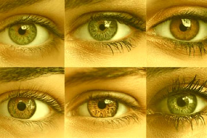Lily, 32, a red hazel-eyed ebony companion based in Bivio Santa Cecilia. Offering A-Level, Dinner Date, Fetish. Available for incall and outcall, day and eve...