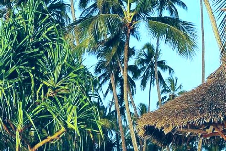 Lily, 32 — Escort in Mazinde, Tanzania