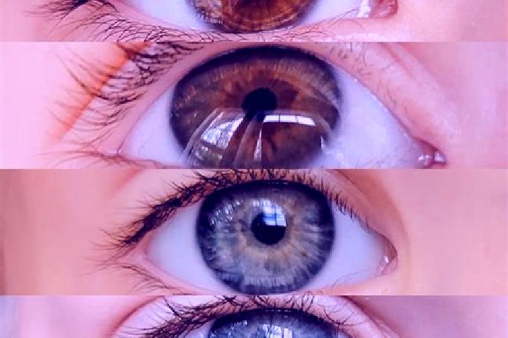 Lily, 33, a chestnut grey-eyed middle eastern companion based in Hickory Flat. Offering BDSM, Overnight, GFE. Available for incall and outcall, day and eveni...