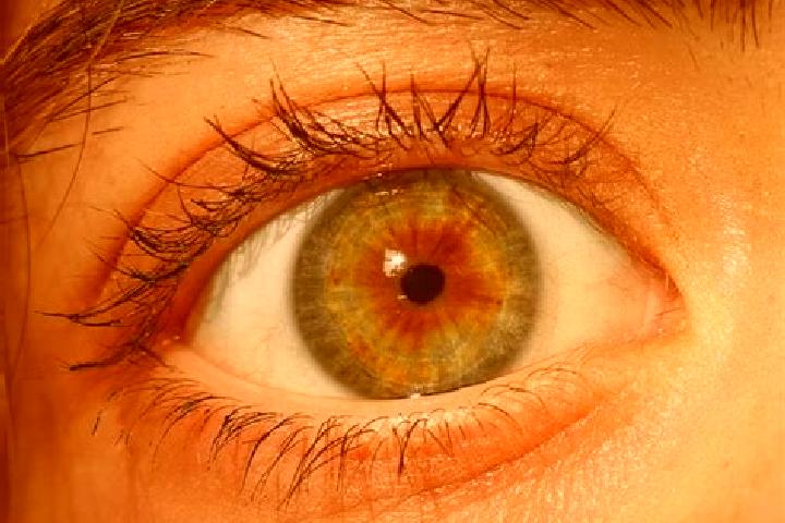 Lily, 33, a red hazel-eyed mixed companion based in Narsapuram. Offering CIM, A-Level. Available for incall and outcall, day and evening dates.