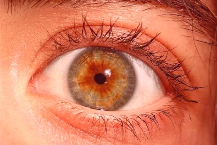 Lily, 34, a red hazel-eyed mediterranean companion based in Igaci. Offering OWO, Domination. Available for incall and outcall, day and evening dates.