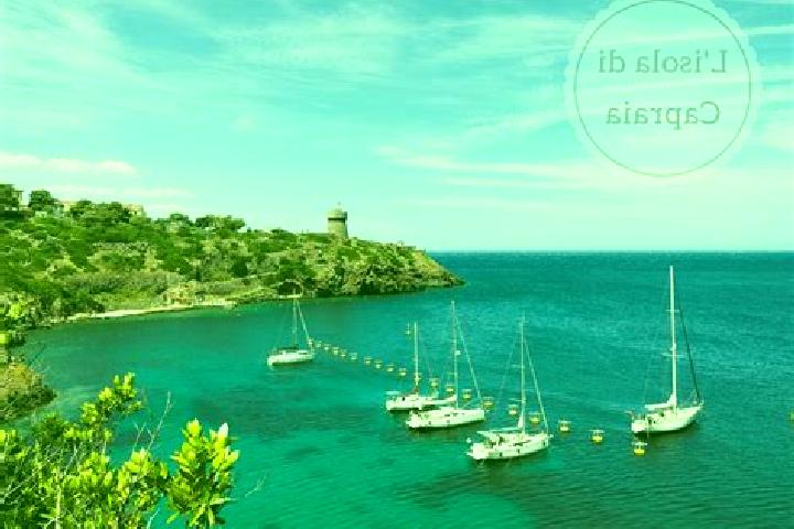 Lily, 34 — Escort in Capraia Isola, Italy