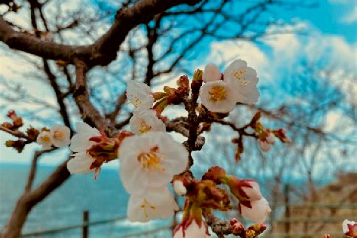 Lily, 34 — Escort in Kamoenai, Japan