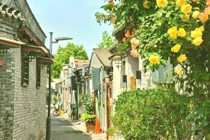 Lily, 35 — Escort in Huayuan, China