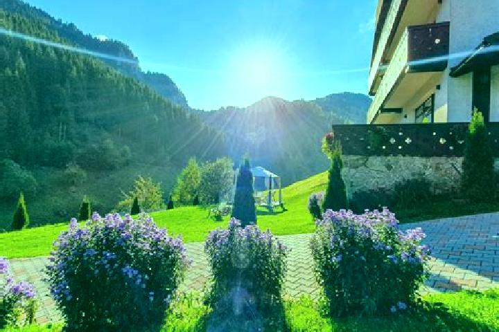 Lily, 35 — Escort in Plaiu Nucului, Romania