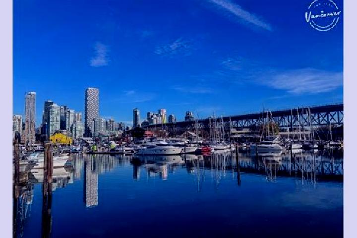 Lily, 35 — Escort in South Granville, Canada