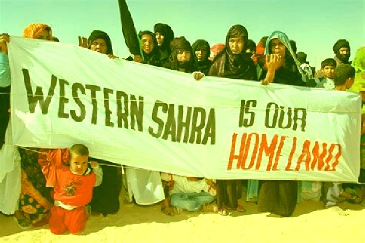 Lily, 36 — Escort in Bir Ganduz, Western Sahara