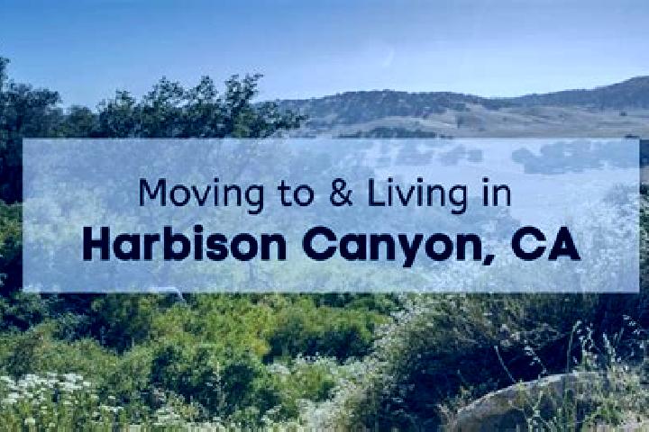 Lily, 36 — Escort in Harbison Canyon, United States