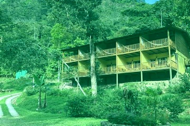 Lily, 36 — Escort in La Guama, Honduras
