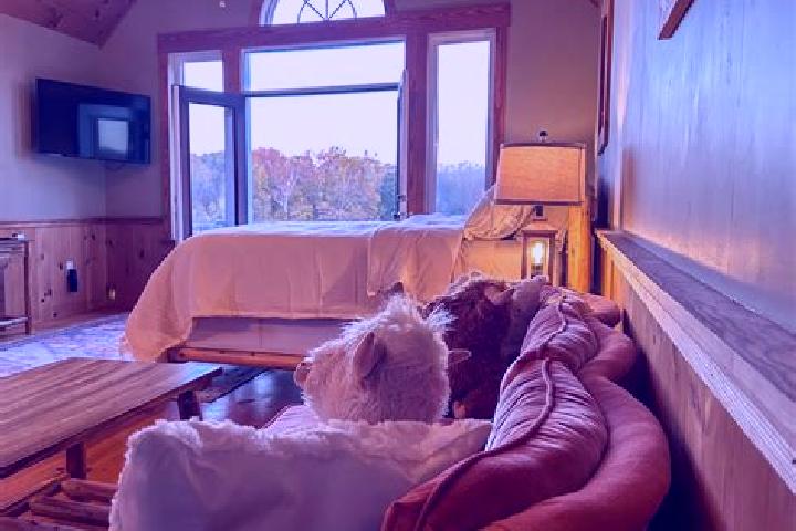 Lily, 36 — Escort in Powhatan Point, United States