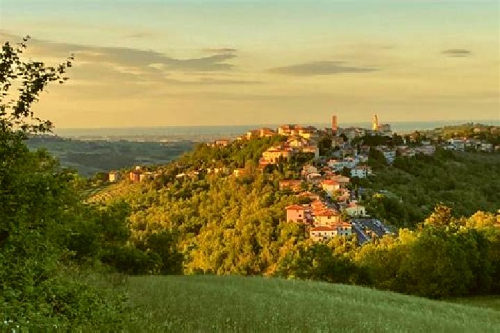 Lily, 36 — Escort in Sogliano al Rubicone, Italy