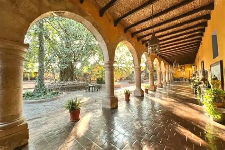 Lily, 36 — Escort in Tepoztlan, Mexico
