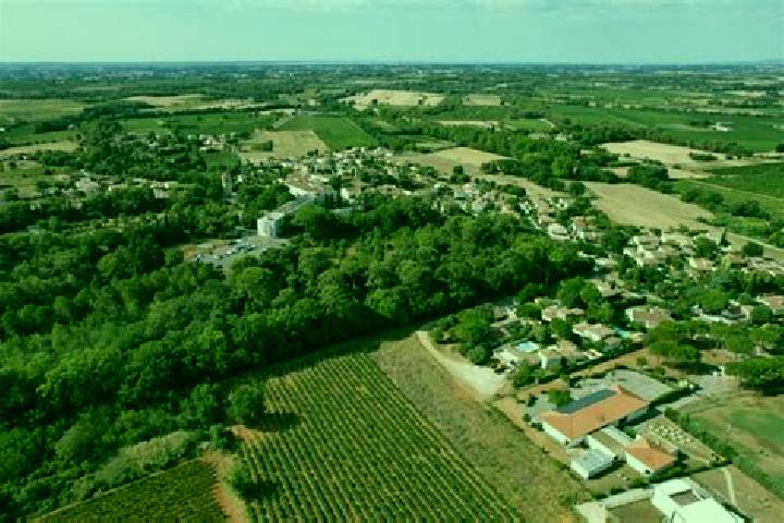 Lily, 36 — Escort in Verargues, France