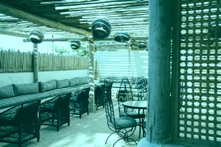Lily, 37, a chestnut blue-eyed caribbean companion based in Jacumba Hot Springs. Offering Striptease, Deep French Kissing, A-Level, BDSM. Available for incal...