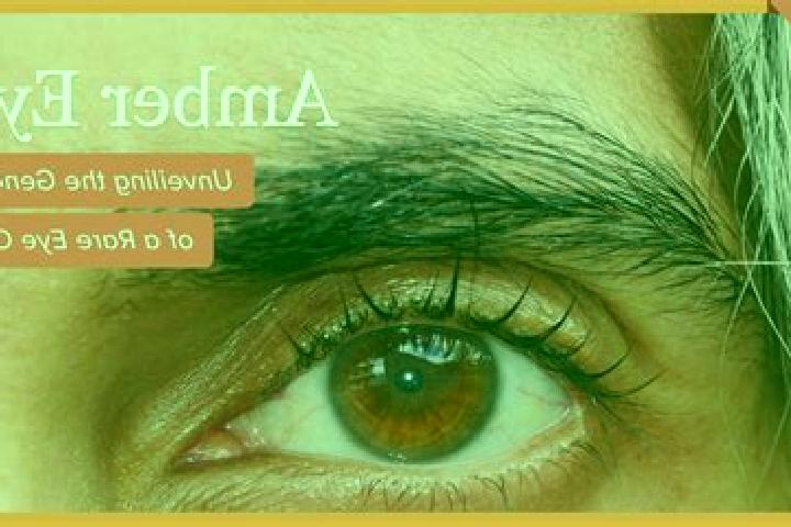 Lily, 37, a red amber-eyed indian companion based in Kem . Offering Domination, Massage, Girlfriend Experience, A-Level, Fetish. Available for incall and out...