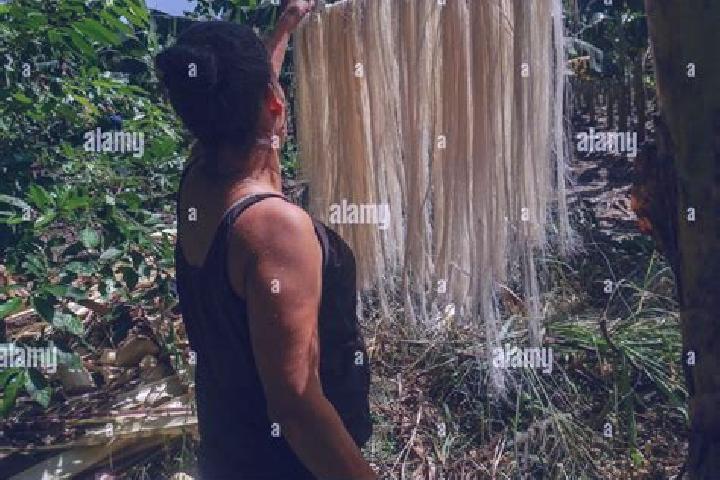 Lily, 37 — Escort in Cabuyaro, Colombia