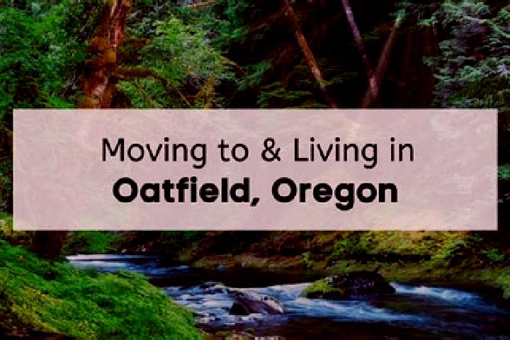 Lily, 37 — Escort in Oatfield, United States